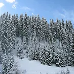 Krasi In Zornitsa Complex Stoykite