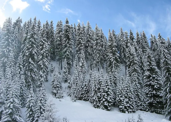 краси в комплекс зорница Стойките