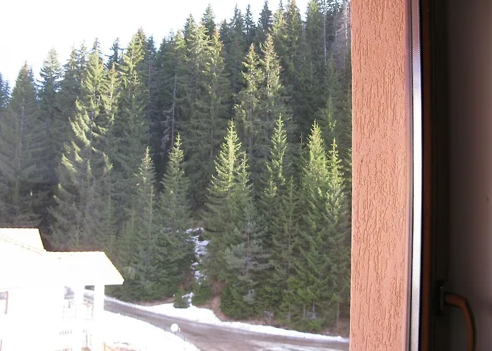 краси в комплекс зорница *